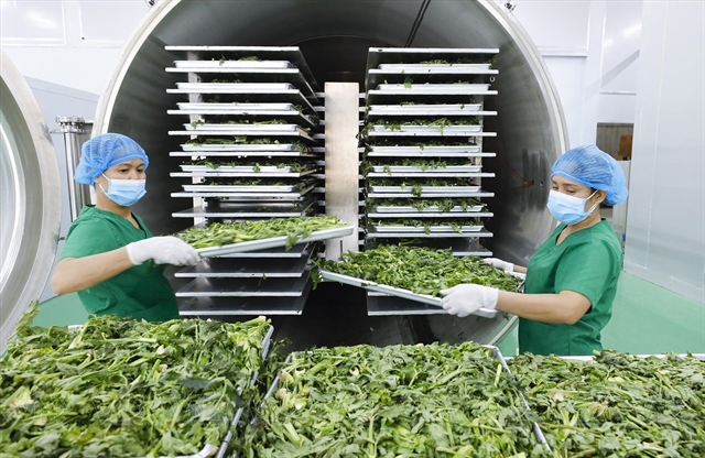 Digital technology helps sustain export competitiveness